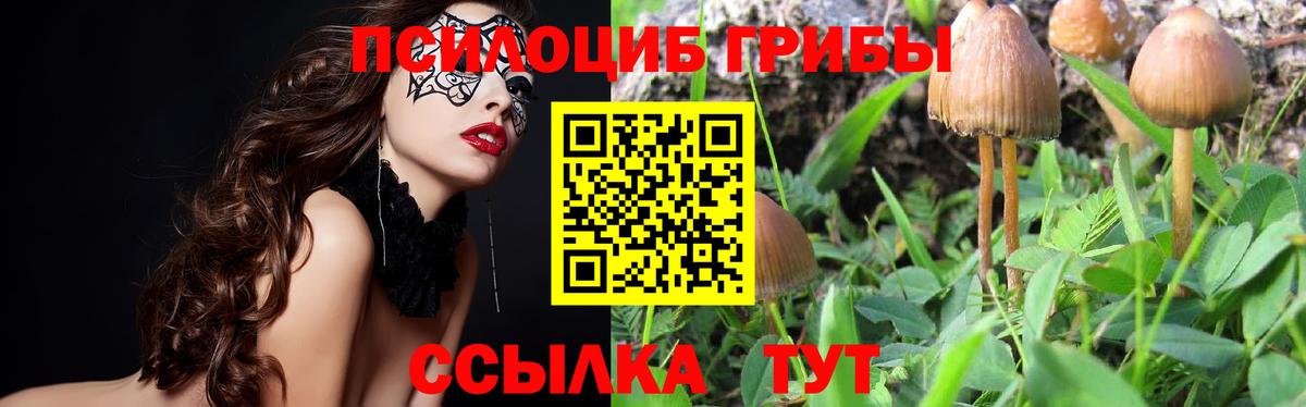 Нижний Новгород  Галлюциногенные грибы ЛСД  закладки  Вход с VPN 